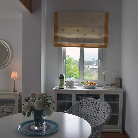 Πανσιόν Olive Mansion 3*