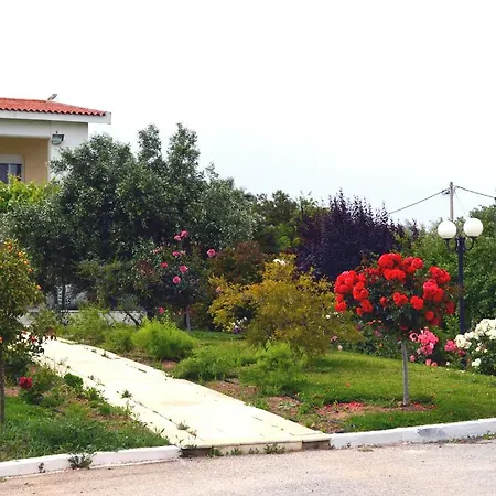 Olive Mansion Πανσιόν Μαραθώνας
