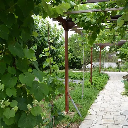 Olive Mansion Μαραθώνας