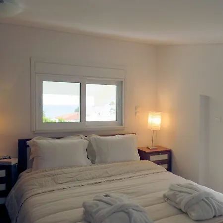 Πανσιόν Olive Mansion 3*