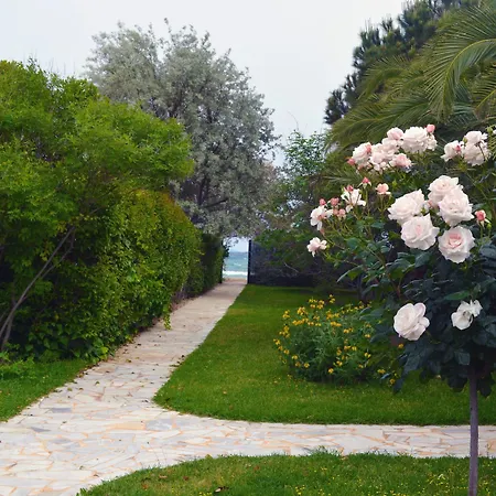 Olive Mansion Πανσιόν