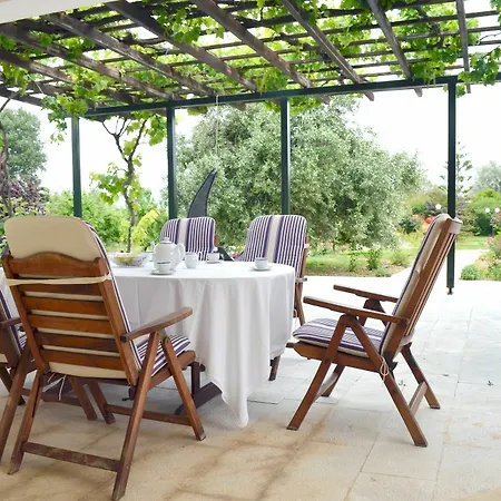 Olive Mansion Πανσιόν 3*