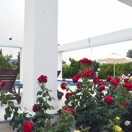 Olive Mansion Πανσιόν Μαραθώνας