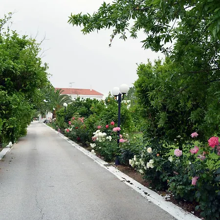 Olive Mansion 3* Μαραθώνας