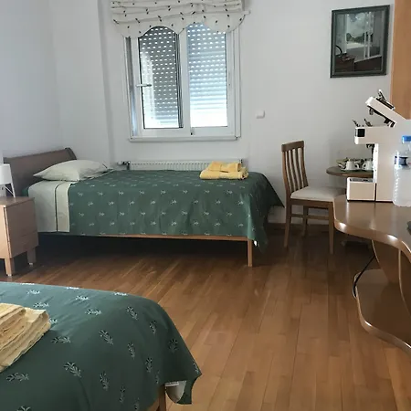 Olive Mansion Πανσιόν Μαραθώνας