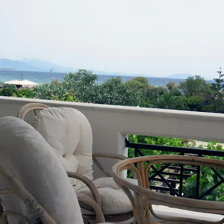 Olive Mansion Πανσιόν