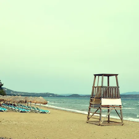 Gasthof Olive Mansion 3*