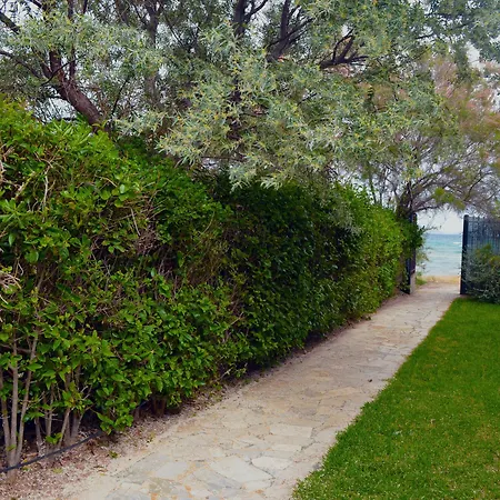 Olive Mansion 3*